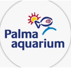 Palma Aquarium Gutscheine